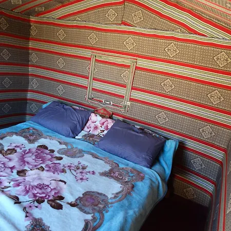 Wadi Rum View Camp Room photo