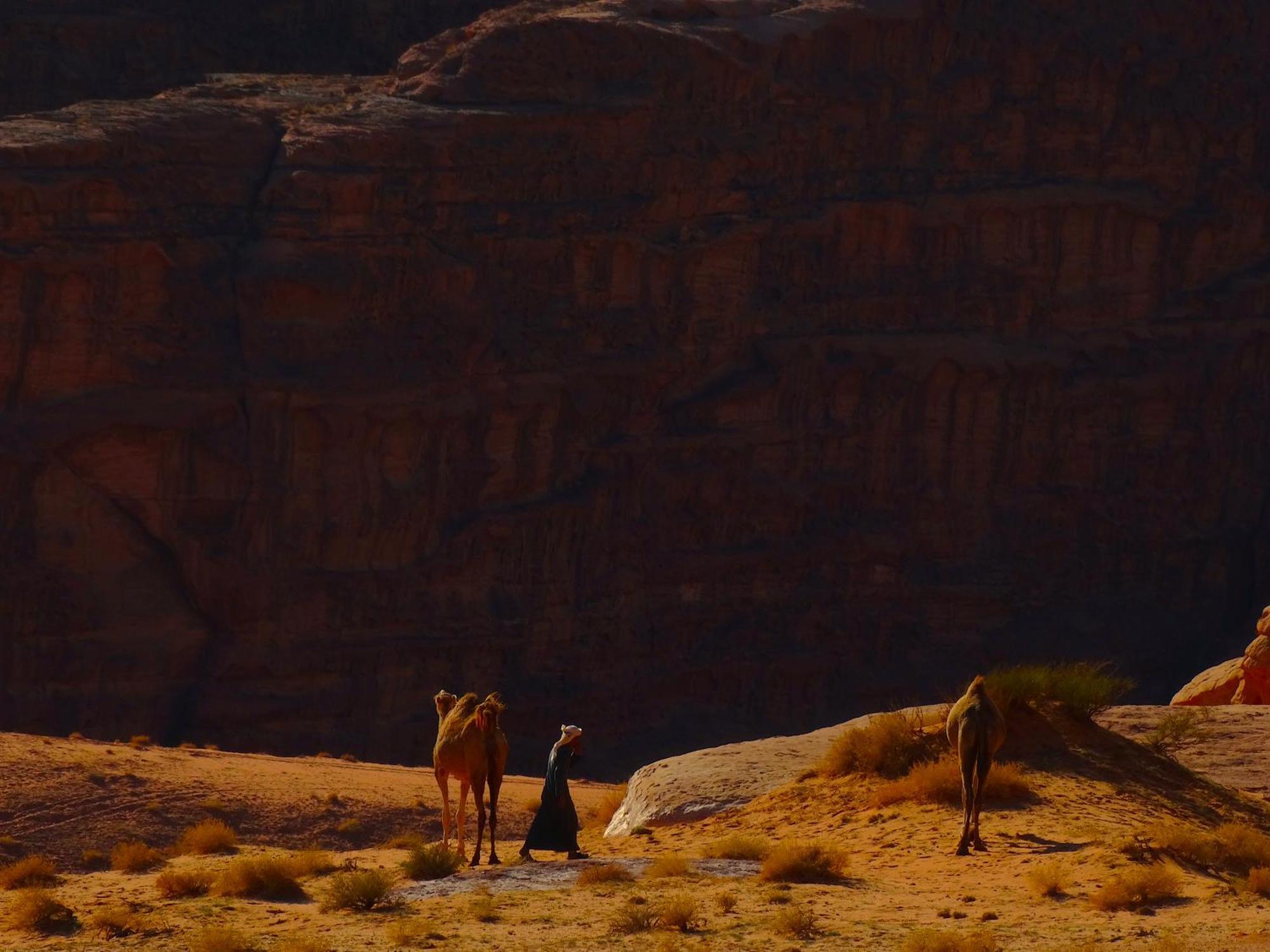 Wadi View Camp