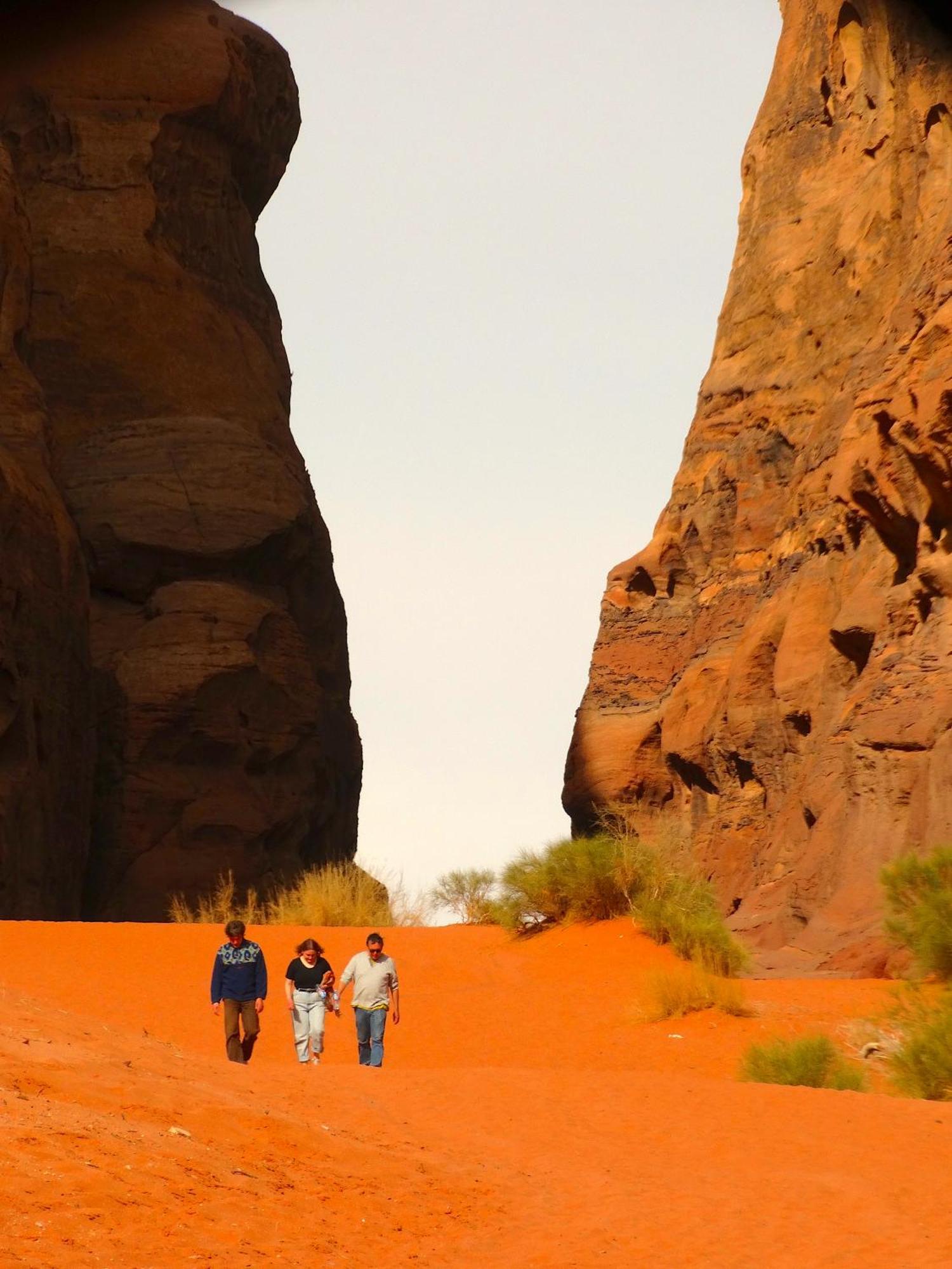 Luxury tent Wadi View Camp Wadi Rum